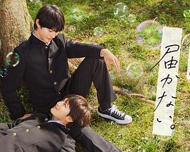 王牌第七季高清海报剧照