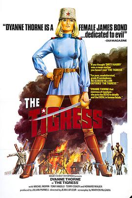 石墙风暴海报剧照