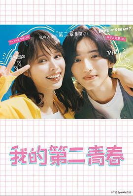 中关之琳的脚海报剧照