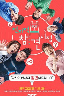 关于边牧的海报剧照